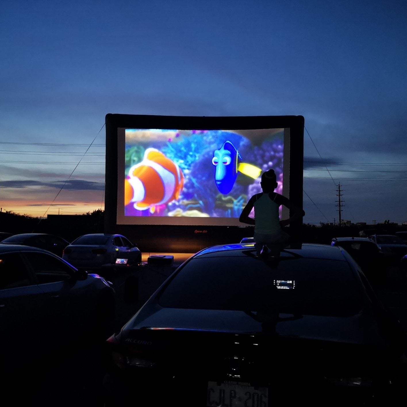 Backyard Theaters
