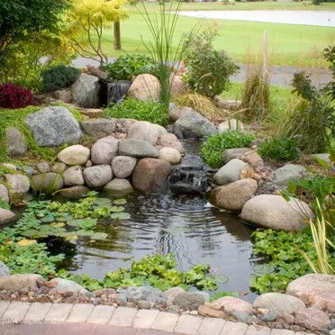 Koi Pond Kits